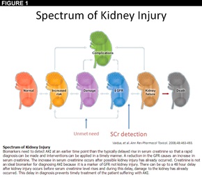Figure 1: Which Marker Should We Use to Assess Acute Renal Injury