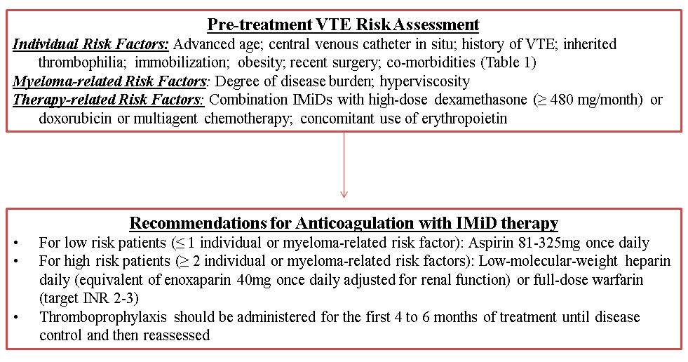 Cardiac Considerations for Modern Multiple Myeloma