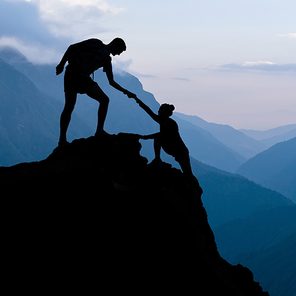 FIT Section Conceptual Image