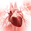 Heart Conceptual Image