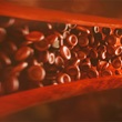 Blood vessels cells conceptual image
