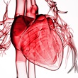 3D Heart; Conceptual Image