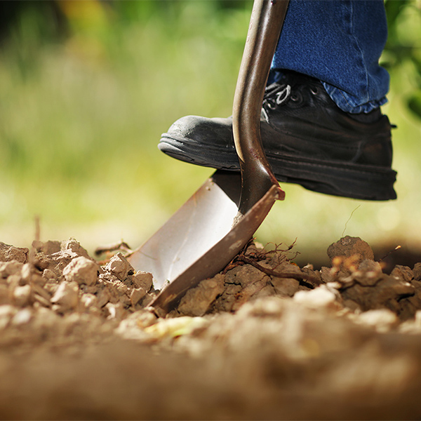 Digging; Conceptual Image