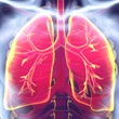 Lungs, Pulmonary; Conceptual Image