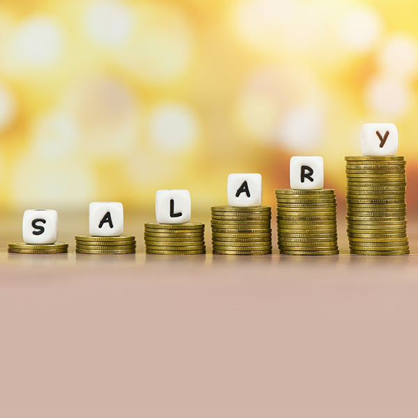Salary; Conceptual Image