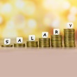 Salary; Conceptual Image