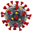 COVID-19 Virus; Conceptual Image