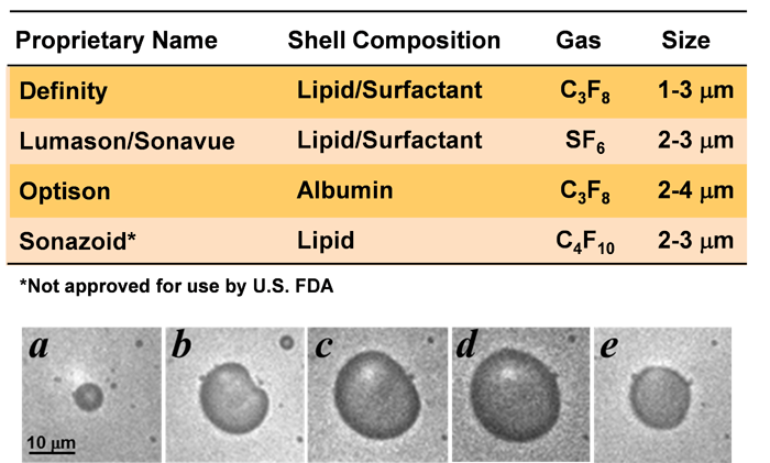 A Practical Approach To Contrast Echocardiography American College Of Cardiology