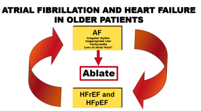 Figure 1: Atrial Fibrillation and Heart Failure in Older Patients