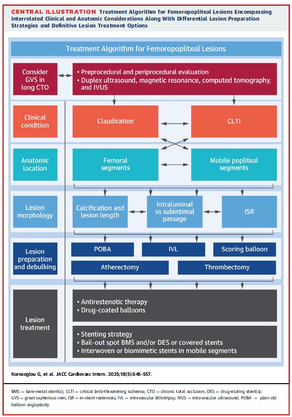 JACC central illustration