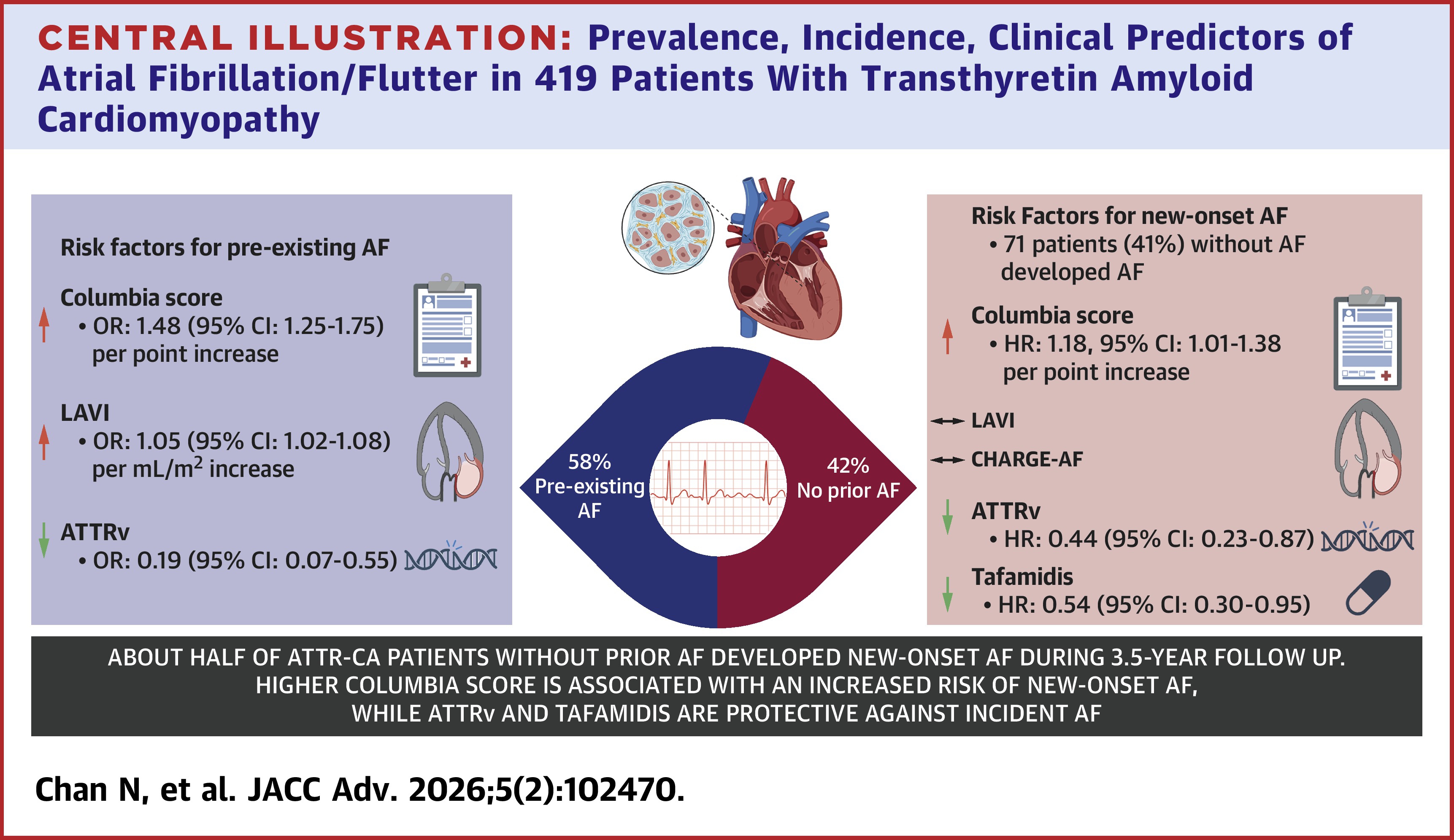 JACC Central Illustration: Graphic Depicting Prevalence, Incidence, Clinical Predictors of Atrial Fibrillation/Flutter in 419 Patients With Transthyretin Amyloid Cardiomyopathy.