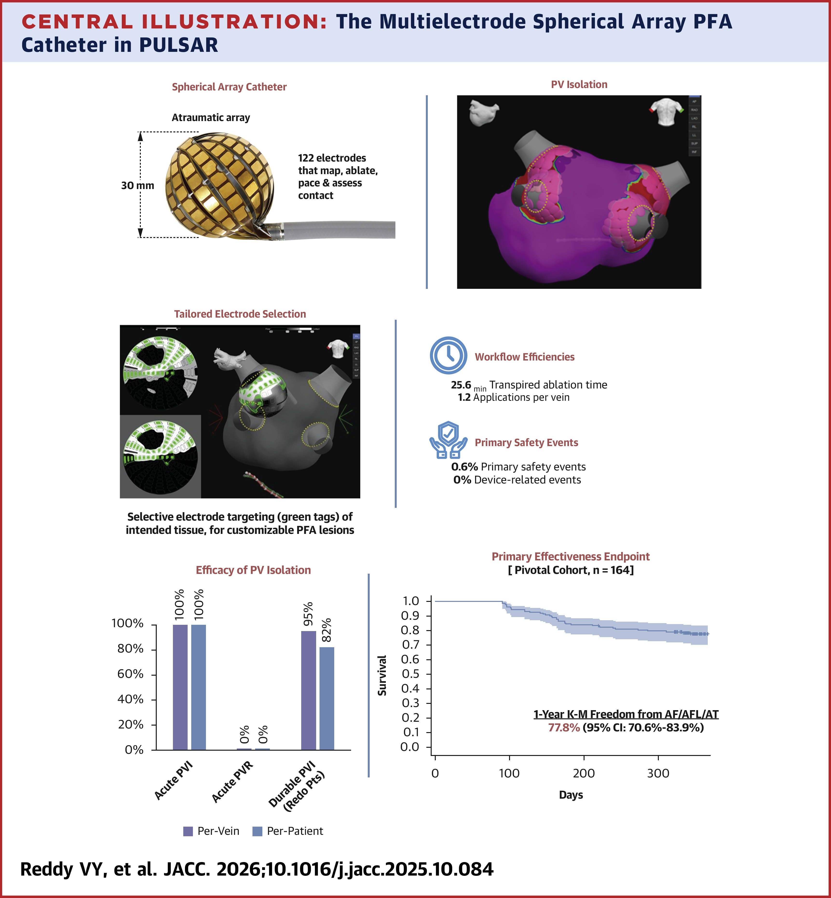 JACC Central Illustration depicting the multielectrode spherical array PFA catheter in PULSAR.