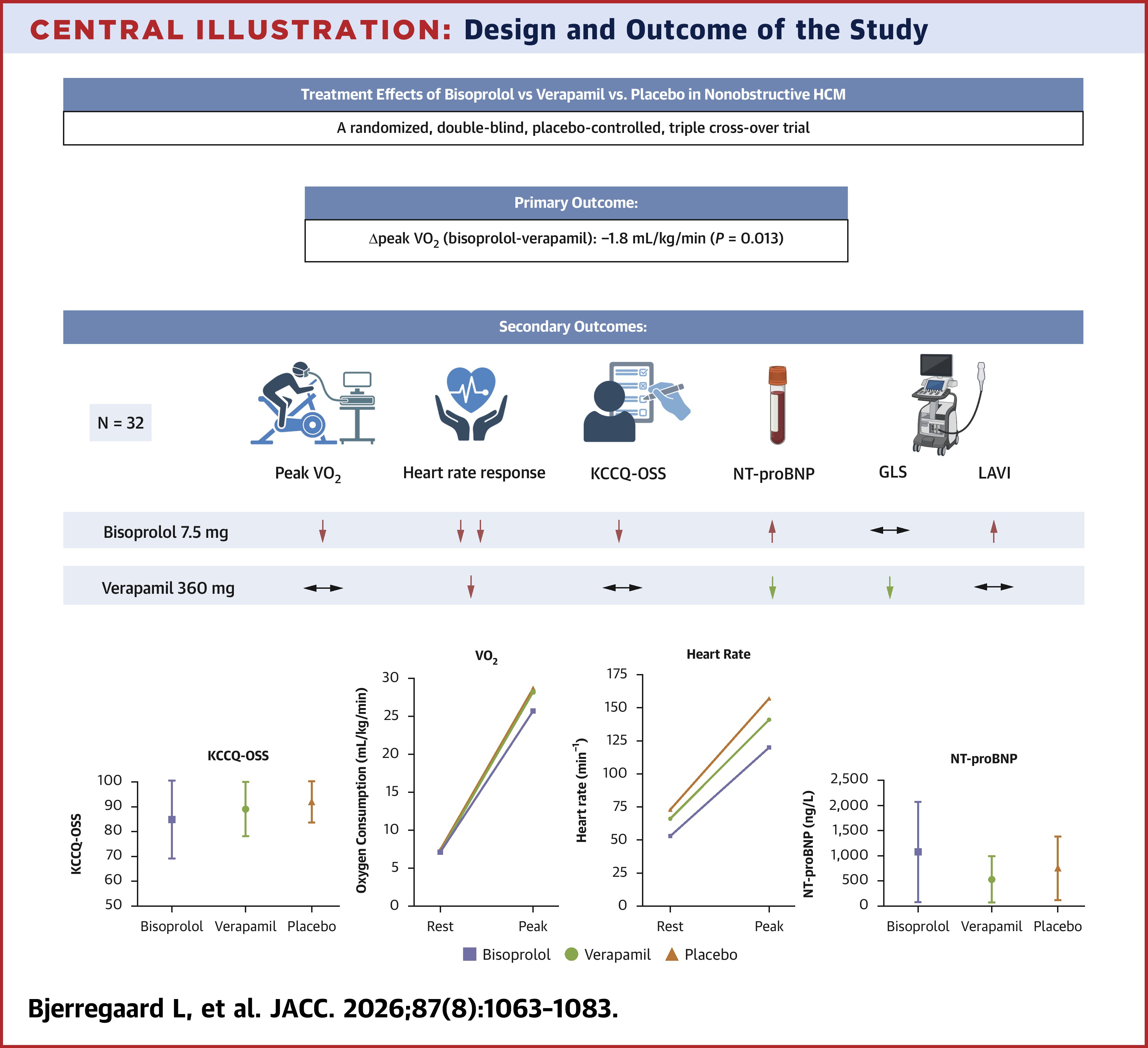 JACC Central Illustration depicting the design and outcome of a study on bisoprolol vs. verapamil in nonobstructive HCM.