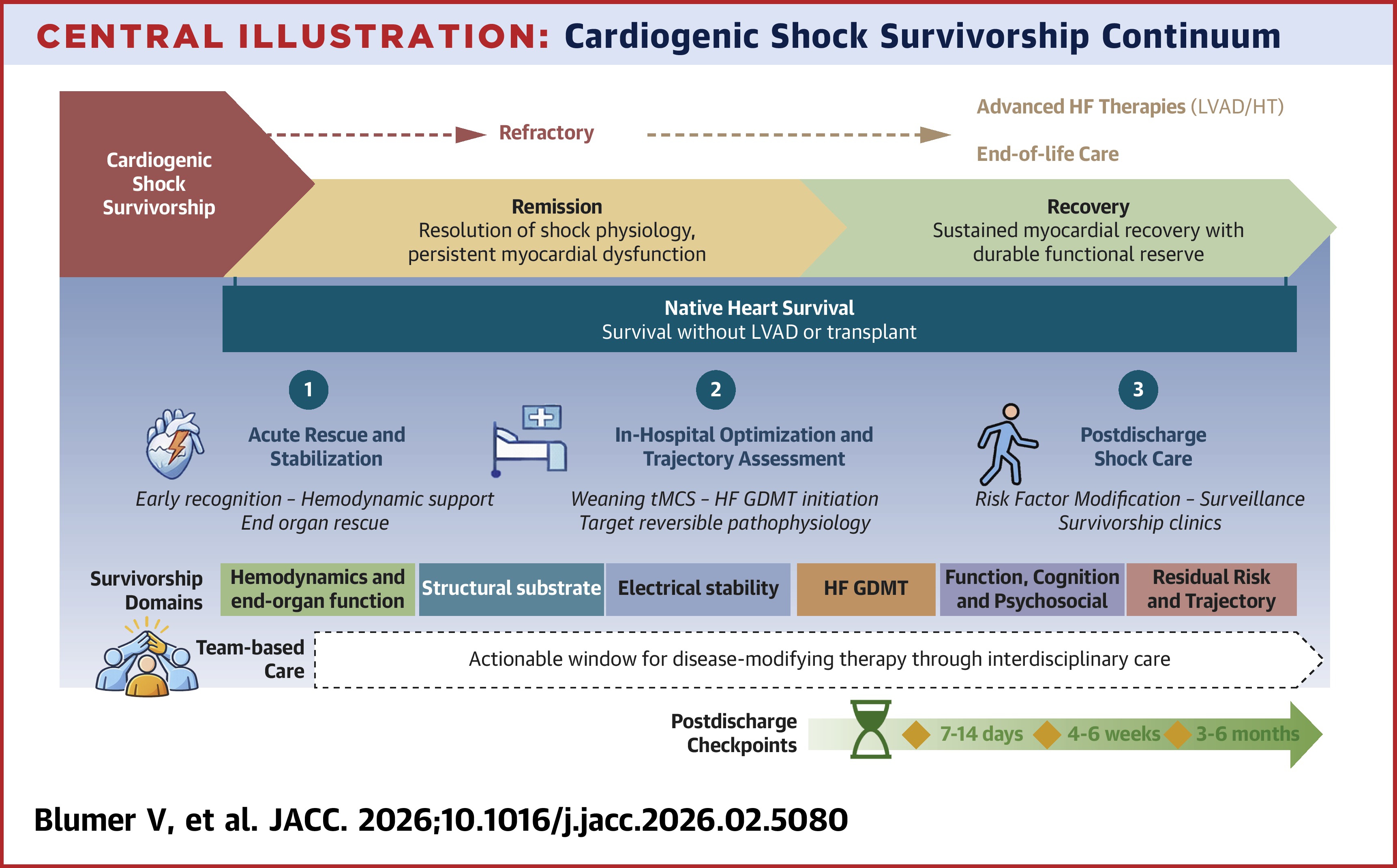 JACC Central Illustration: A new Cardiogenic Shock Survivorship Continuum charts the journey from remission to recovery, incorporating acute rescue and stabilization, in-hospital optimization and trajectory assessment, and post-discharge care.