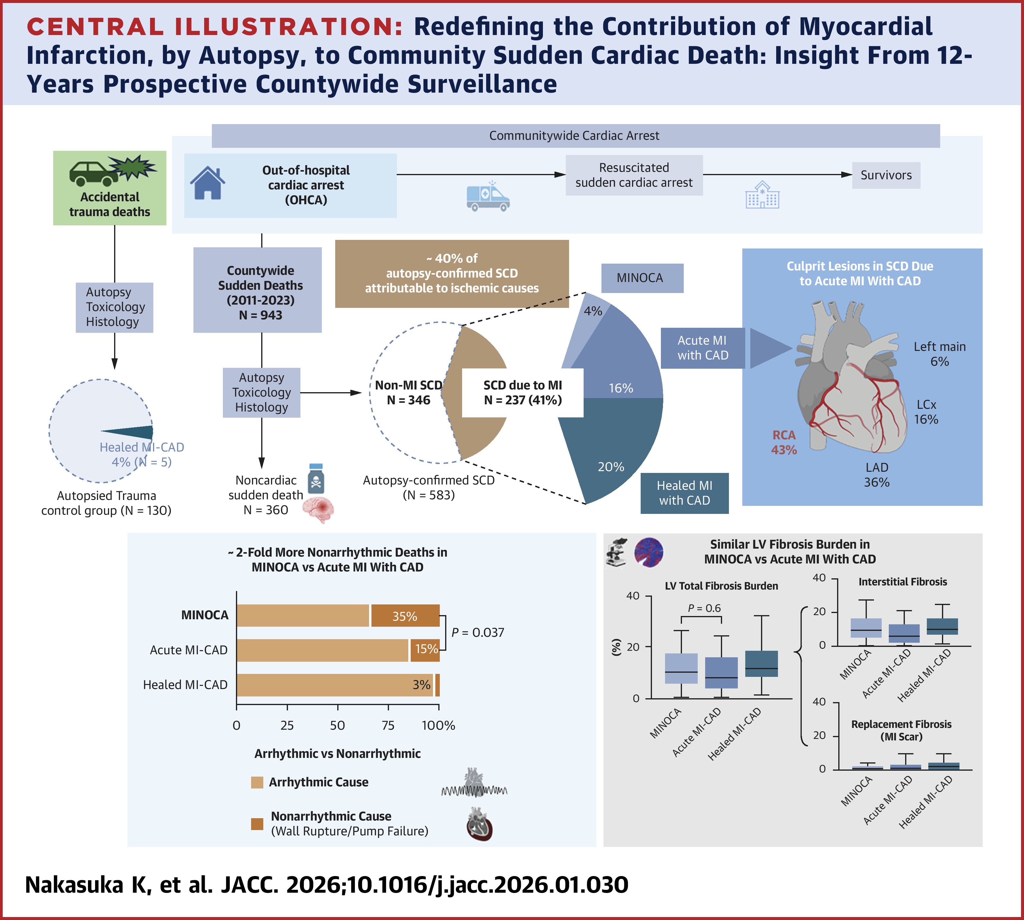 JACC Central Illustration on the contribution of MI, by autopsy, to SCD at a countywide level.