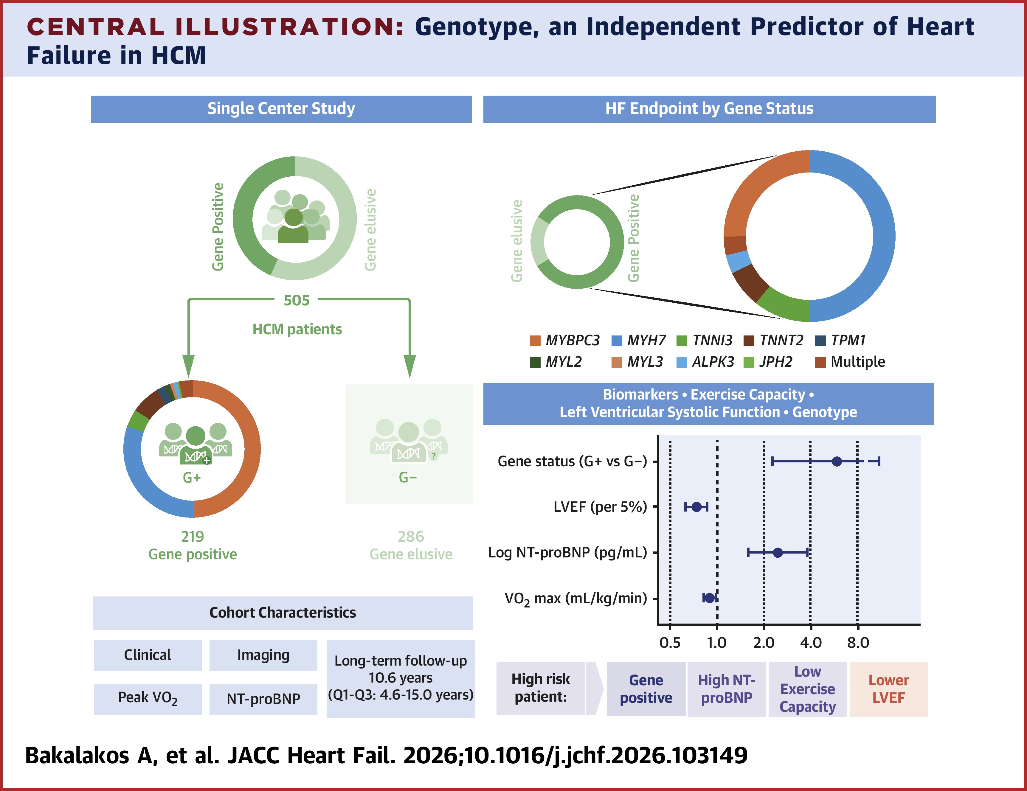 JACC Central Illustration: Genotype, an Independent Predictor of Heart Failure in HCM