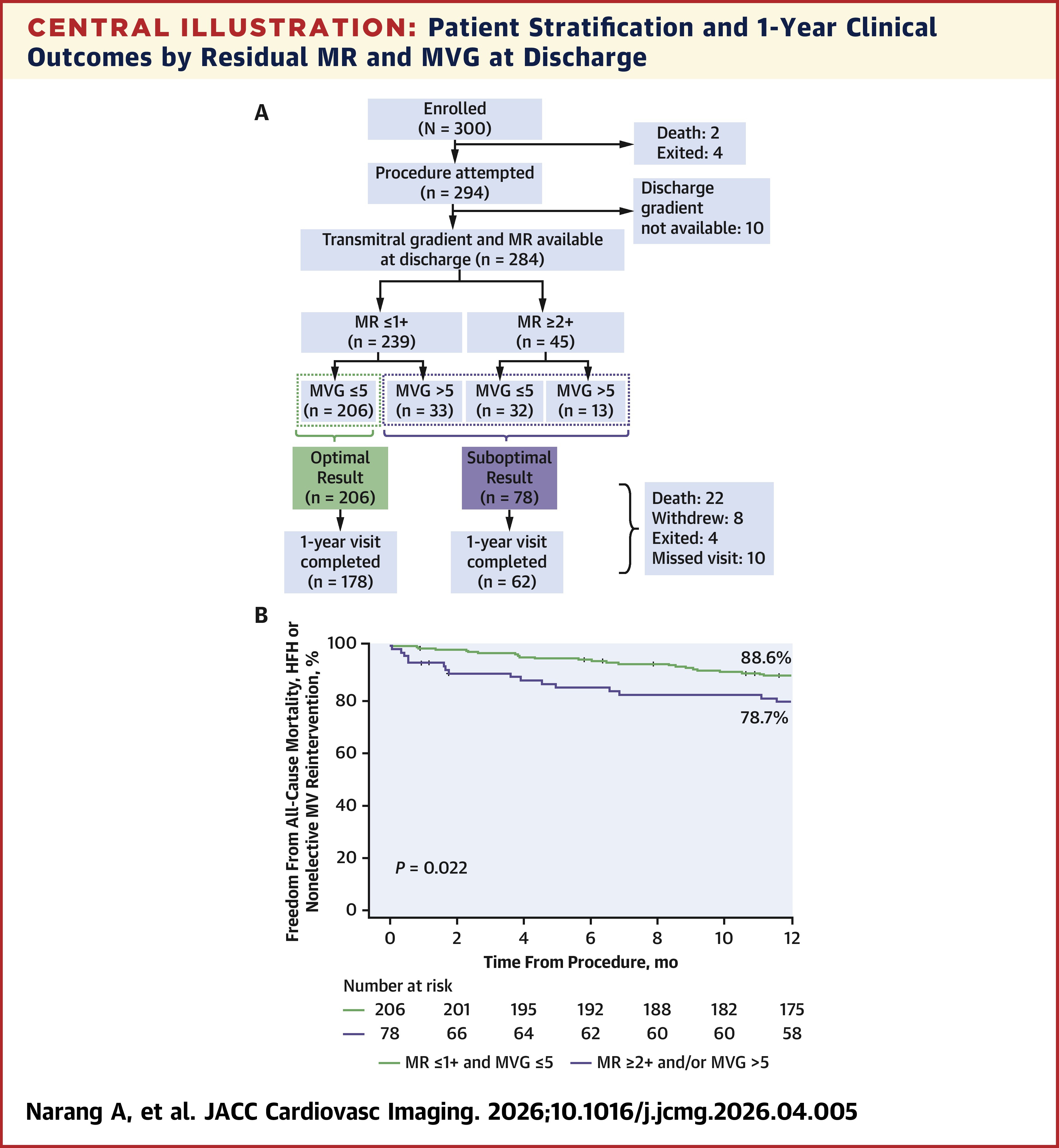 JACC Central Illustration: Patient Stratification and 1-Year Clinical Outcomes by Residual MR and MVG at Discharge