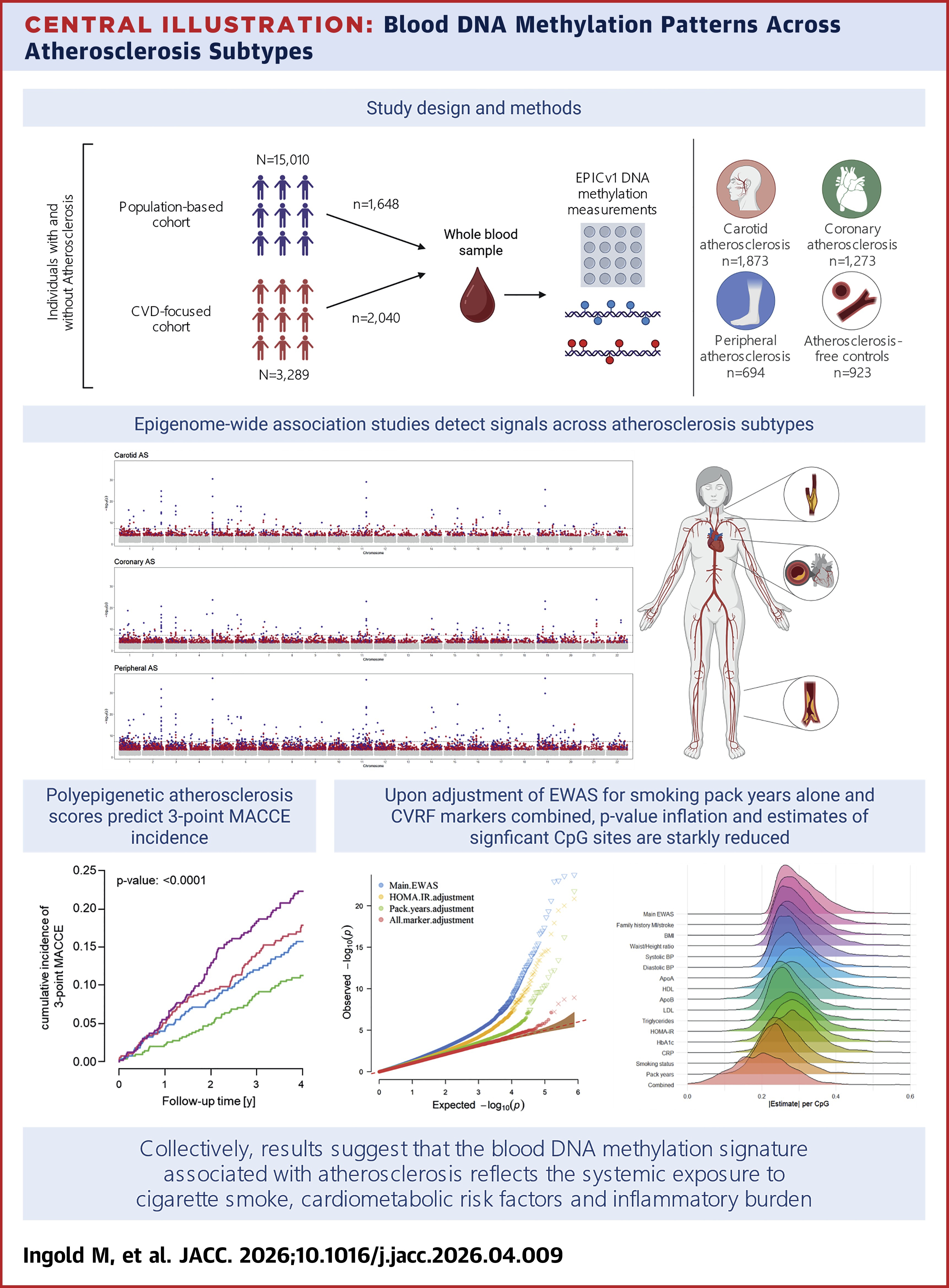 JACC Central Illustration depicting blood DNA methylation patterns across atherosclerosis subtypes.
