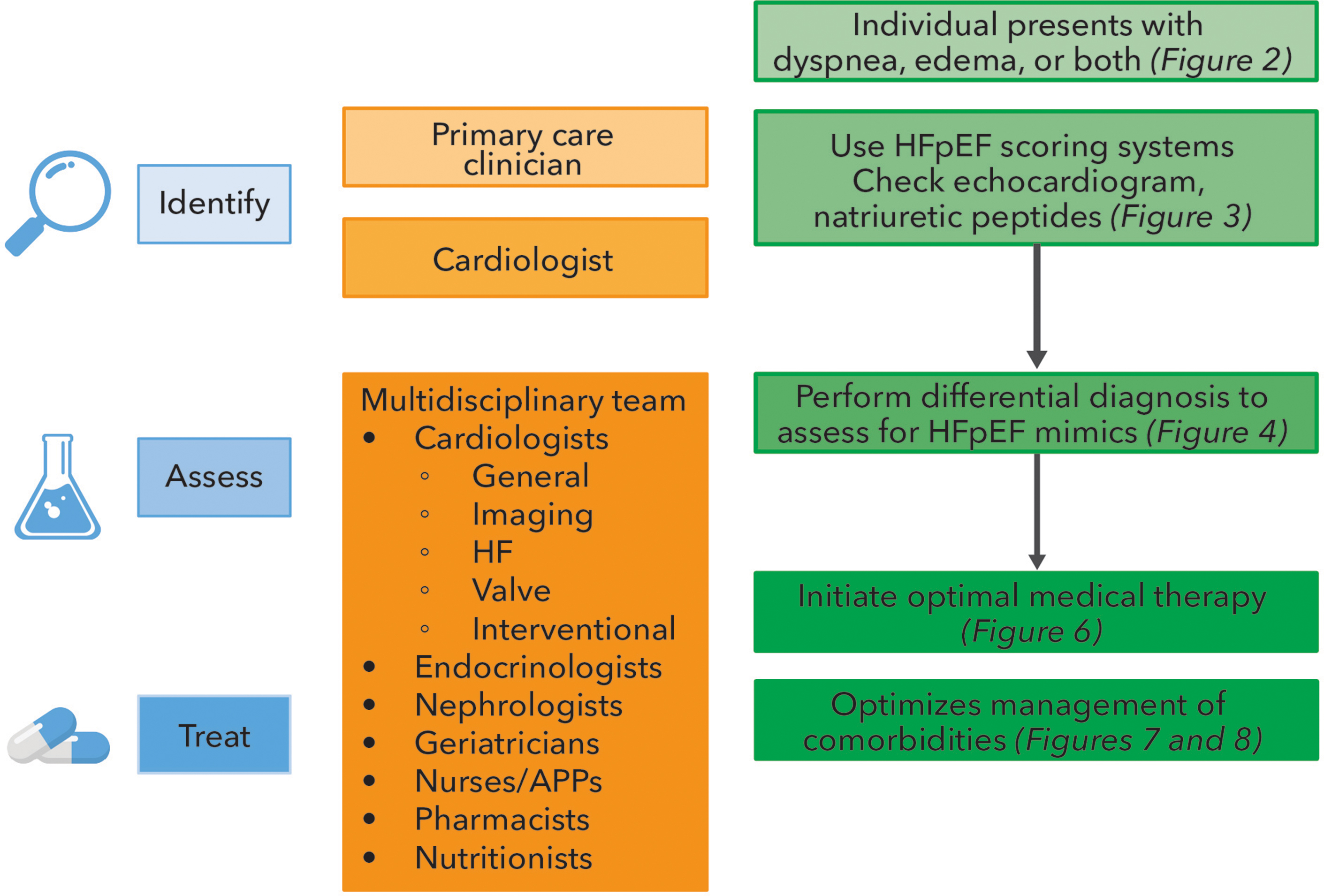 JACC Central Illustration: Summary Graphic for the Evaluation and Management of HFpEF