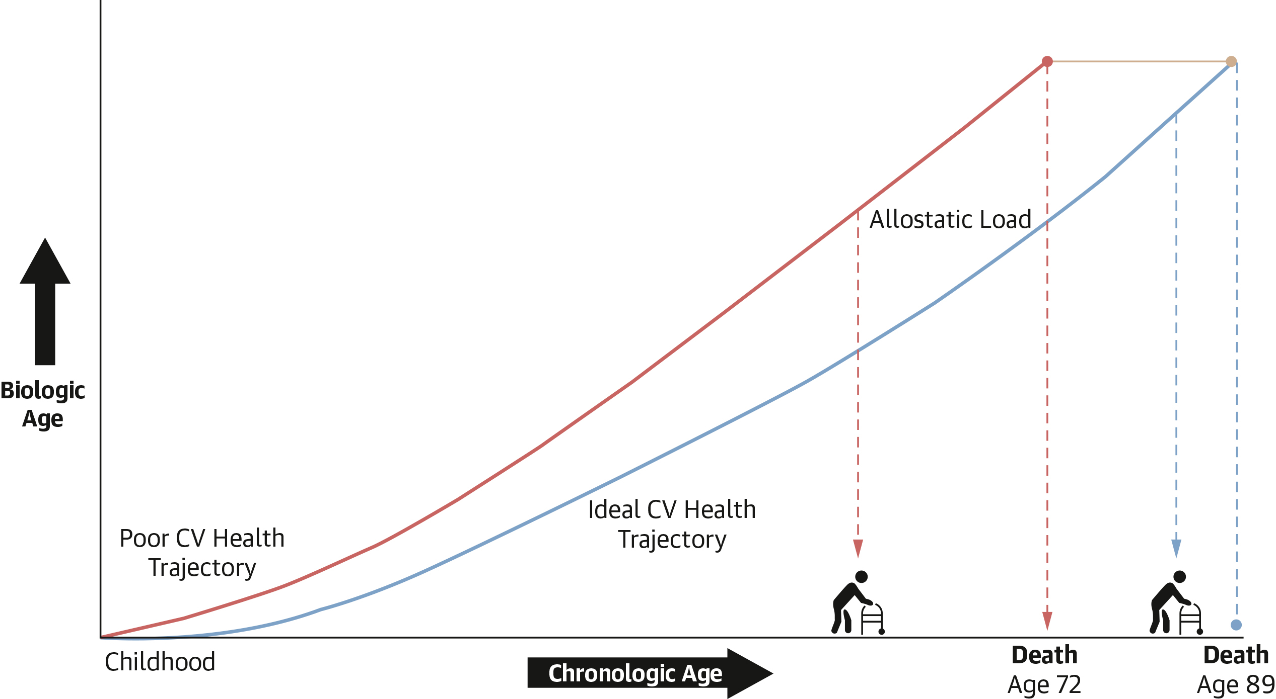 JACC Central Illustration of Impact of Health Trajectory on Biologic Age