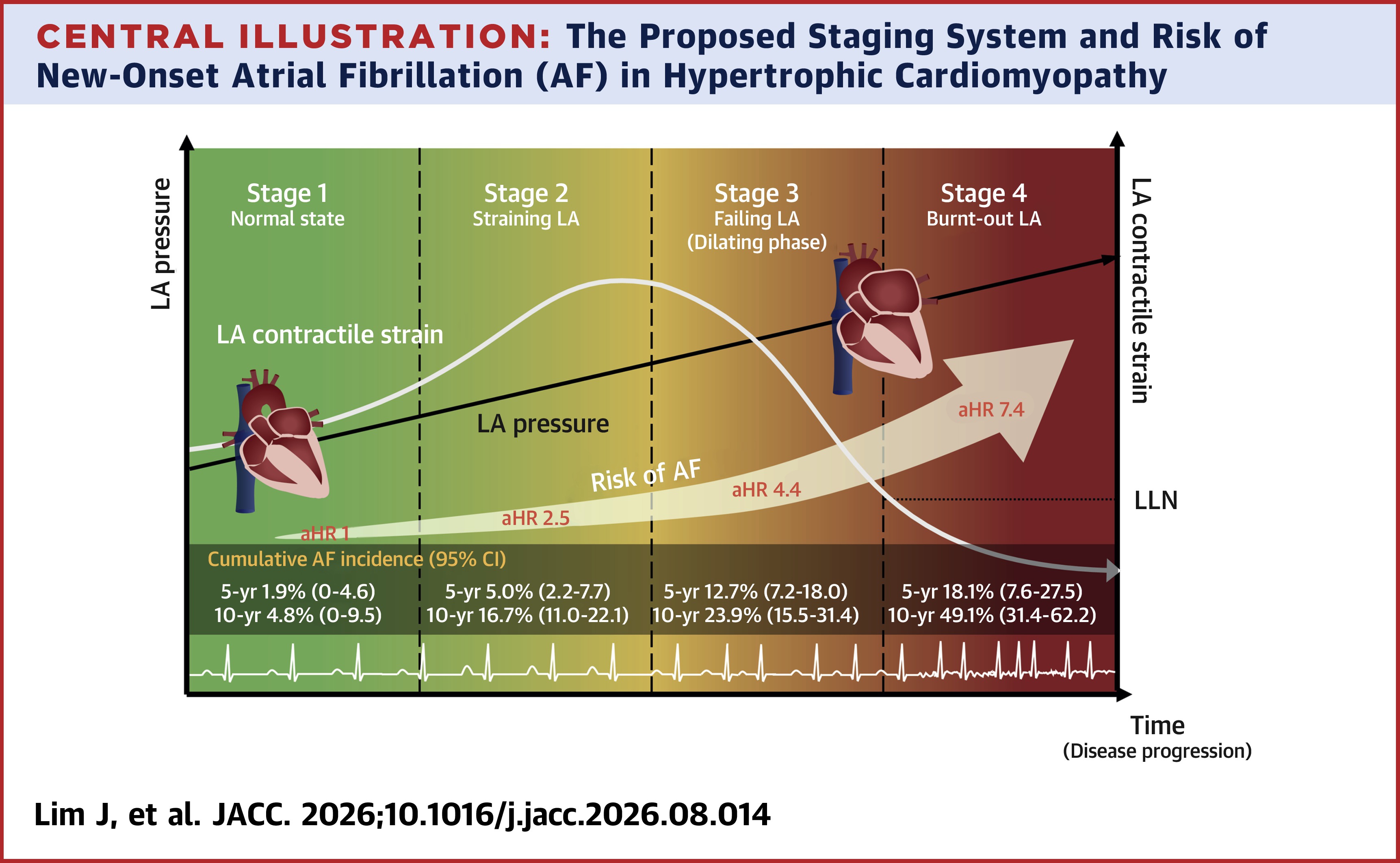 JACC Central Illustration: Proposed staging system and risk of new-onset atrial fibrillation in HCM