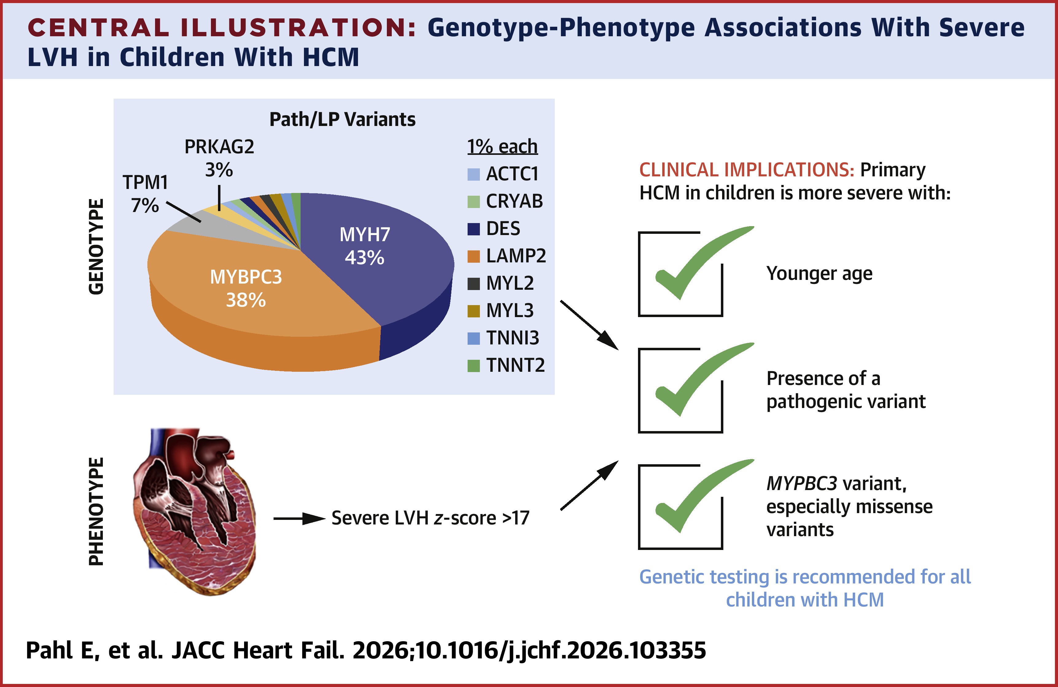 JACC Central Illustration depicting genotype-phenotype associations with severe LVH in children with HCM.