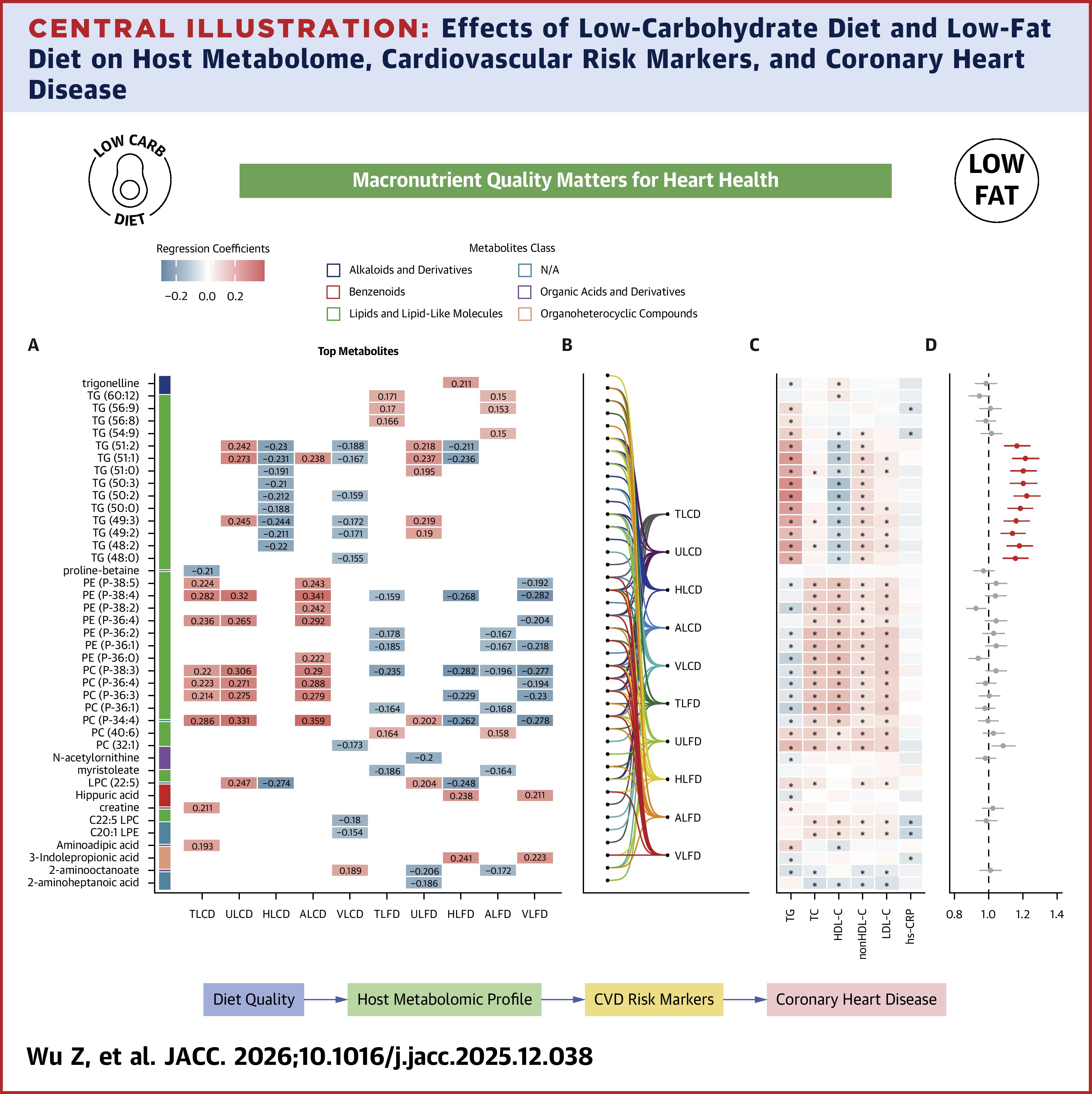 Wu Central Illustration