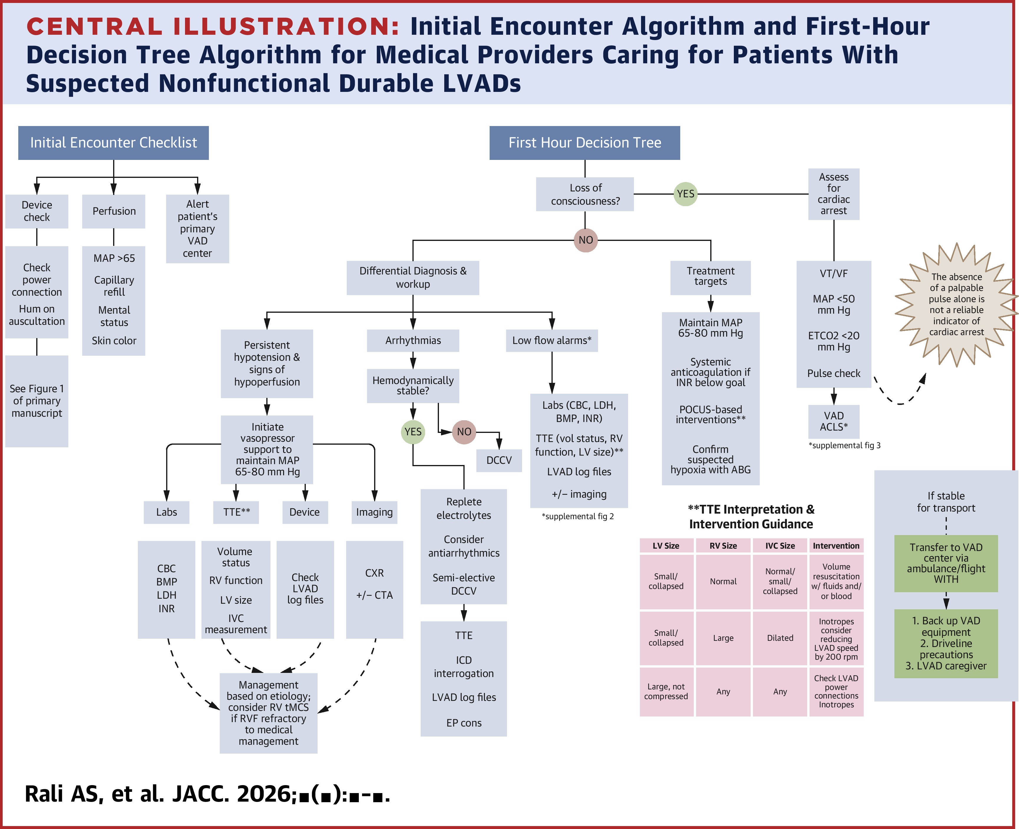 dLVAD_Central Illustration