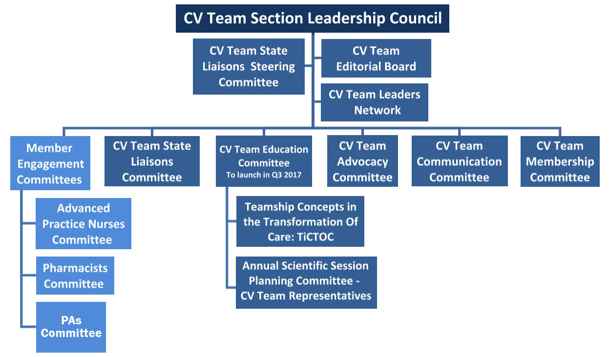 CV Team Leadership