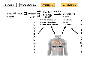 Figure 2: The Emerging Role of Metabolomics and Proteomics in the Development of Cardiovascu
