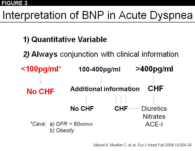 Which Marker is the Best for Assessing Acute Heart Failure or Does it
