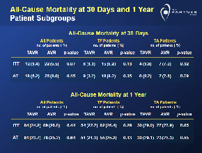 All-Cause Mortality at 30 Days and 1 Year: Patient Subgroups Slide
