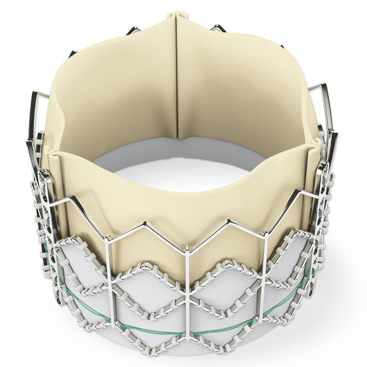 Structural Heart Intervention: A Peek at the Future