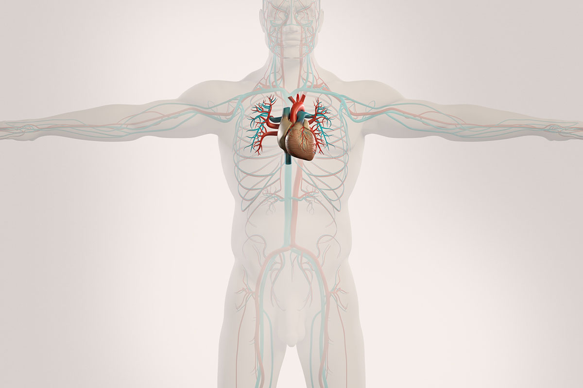 Cardiology Magazine Image