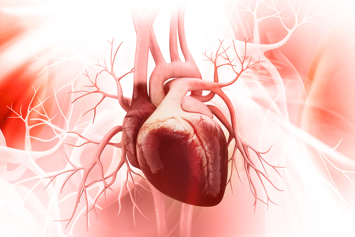 Cardiology Magazine Image