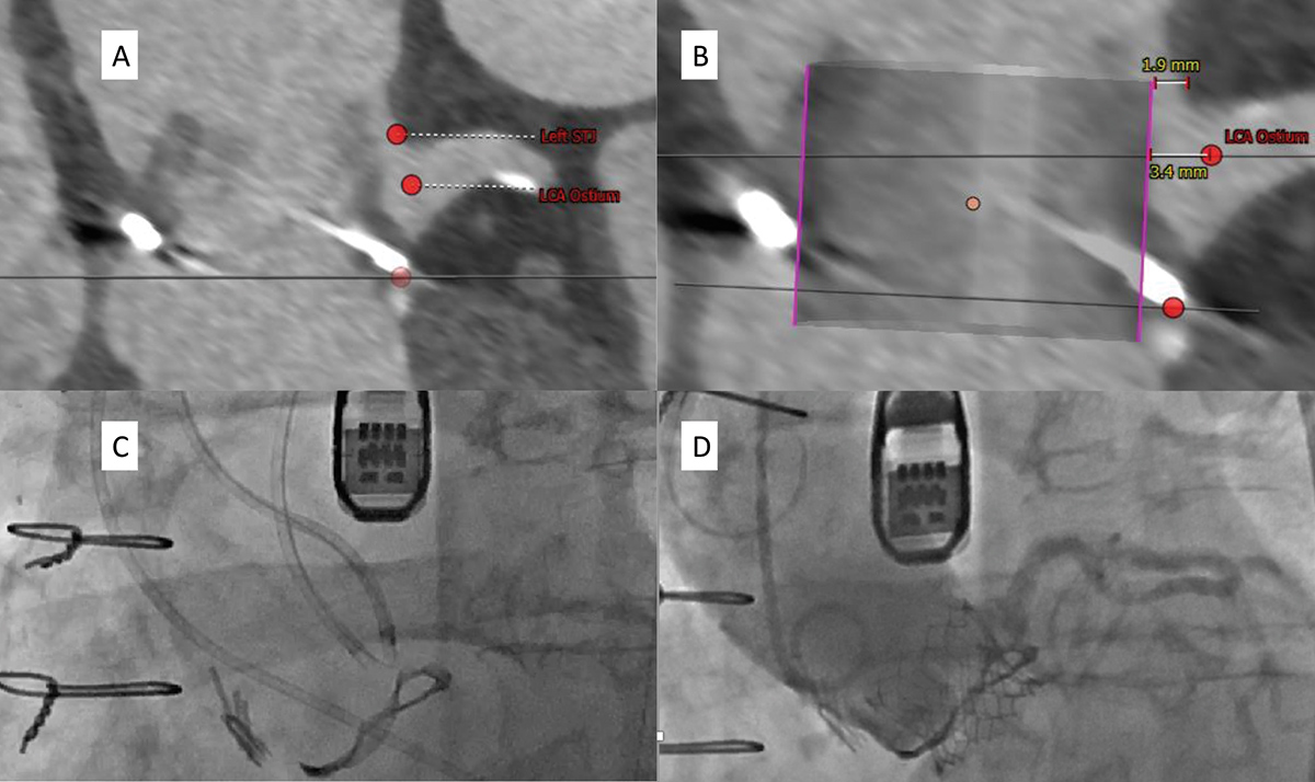 Cardiology Magazine Image