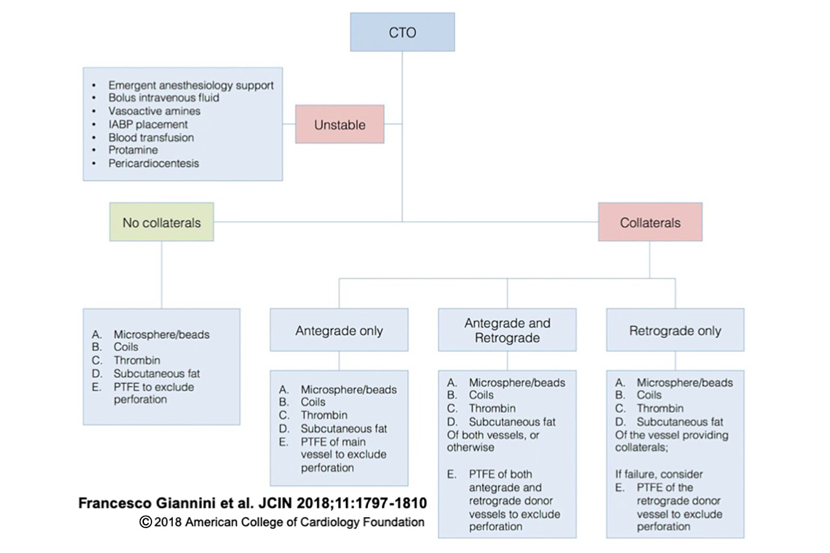 Cardiology Magazine Image