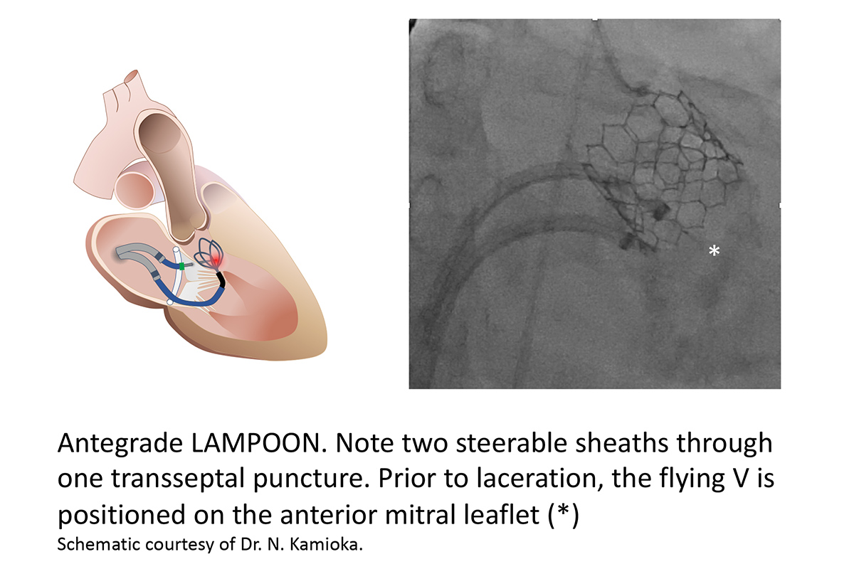 Cardiology Magazine Image