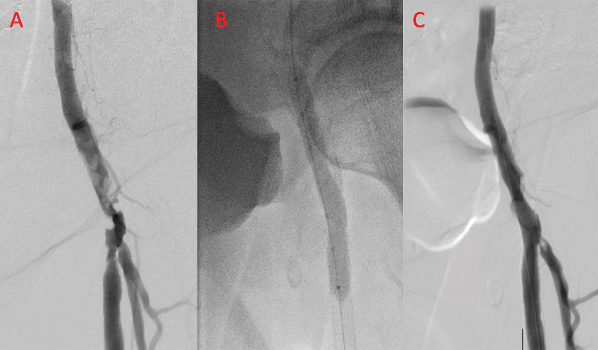 Cardiology Magazine Image