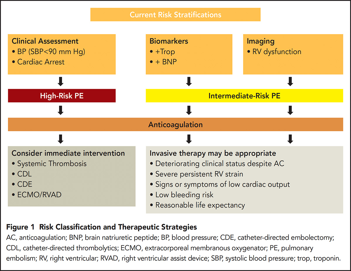 Cardiology Magazine Image