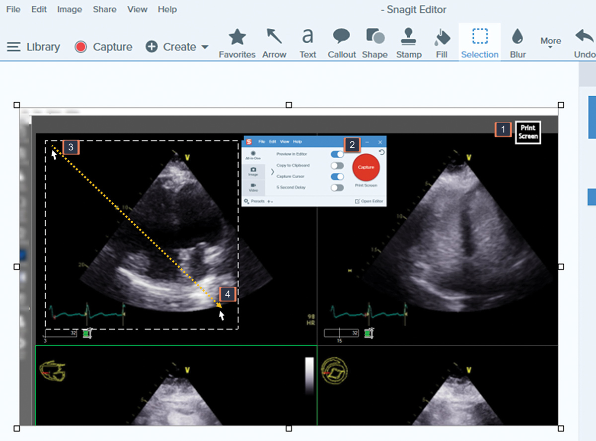 Cardiology Magazine Image