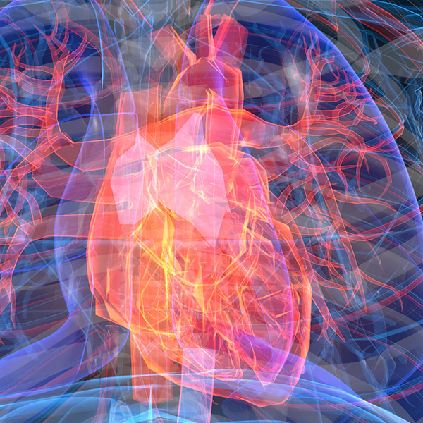 Closeup image of a 3D heart; Conceptual Image
