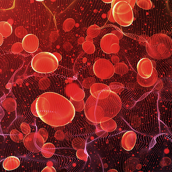 Blood Cells, Circulatory; Conceptual Image