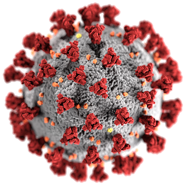 COVID-19 Virus; Conceptual Image