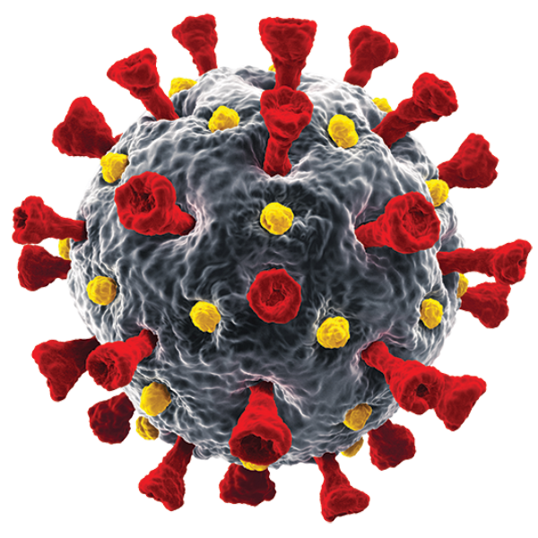 COVID-19 Virus; Conceptual Image