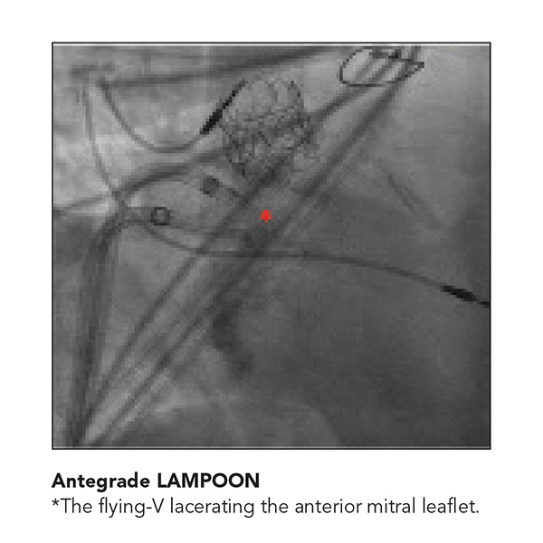 Cardiology Magazine Image