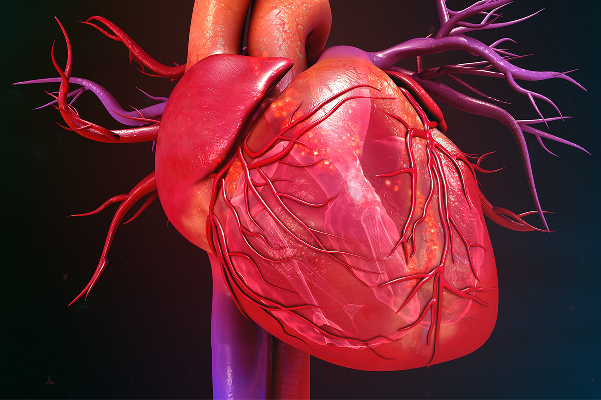 Cardiology Magazine Image