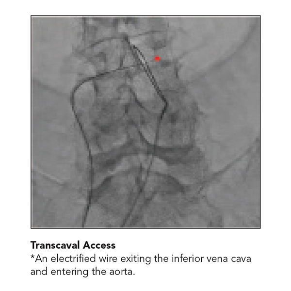 Cardiology Magazine Image