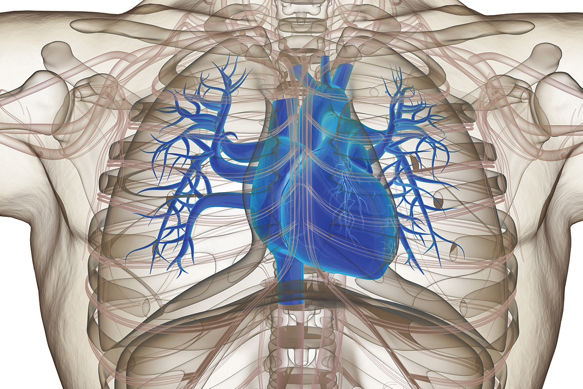 Cardiology Magazine Image