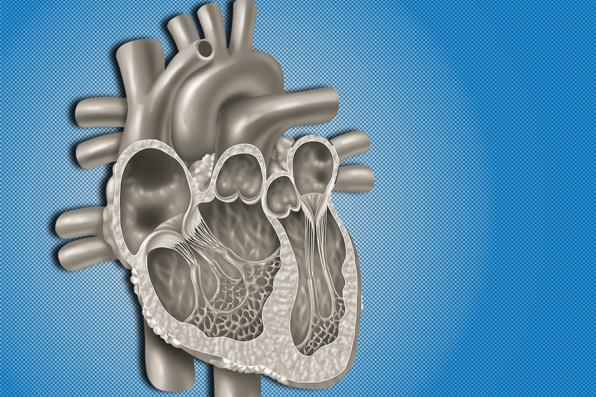 Cardiology Magazine Image